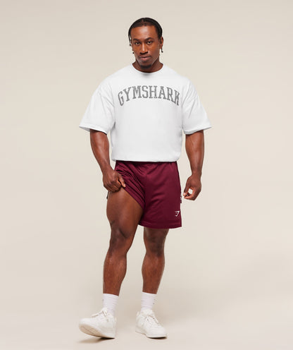 Campus Mesh Shorts - US 0202
